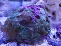 20170217_124739.jpg