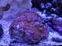 20170217_124747.jpg