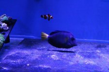 IMG_9641.jpg
