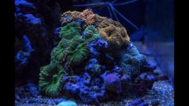 IMG_4468 2.jpg