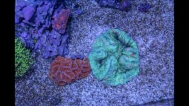 IMG_4472 2.jpg