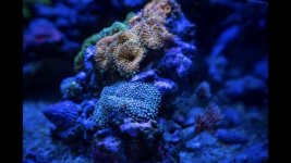 IMG_4469 2.jpg
