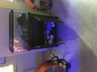IMG_0155.jpg