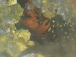 20170218_075851.jpg