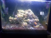 20170218_075745.jpg