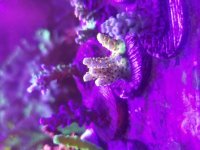 20180524_202453.jpg