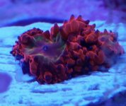 IMG_20170912_184419.jpg