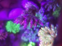 20180524_202836.jpg