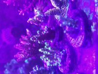 20180524_202525.jpg