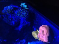 IMG_1222.jpg