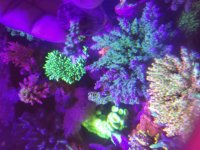20180524_202935.jpg