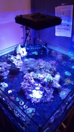 IMG_20171211_134057.jpg
