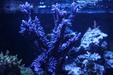 IMG_7768.jpg