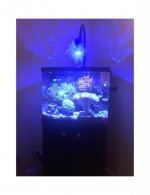 Tank 2.jpg