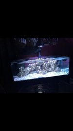 IMG_6017.jpg