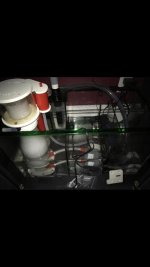 IMG_6019.jpg