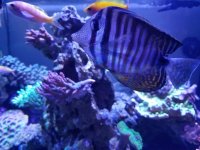 20170626_135725.jpg