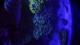 20180222_183934.jpg