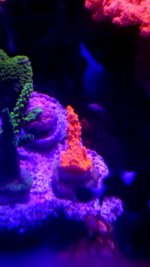 20180129_173102.jpg
