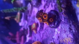 20180129_172432.jpg