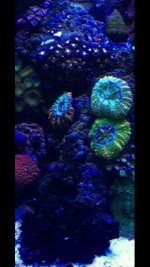 IMG_1667.jpg