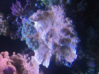 IMG_2024.jpg IMG_2024.jpg