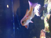 IMG_2639.jpg