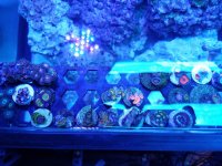 20170413_203426.jpg