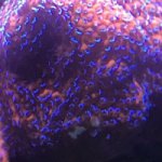 1CA629C6-5B67-460B-8B9A-A9227B9E53A7.jpeg
