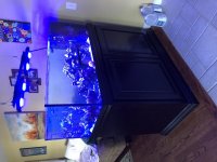 7BA3DCED-30BA-4896-971C-2E9665ED55AA.jpg