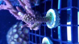 20170627_153108.jpg