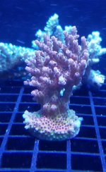 20170628_094740.jpg