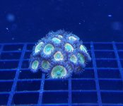 20170628_094644.jpg