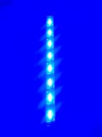 ROYAL BLUES - 100%.jpg