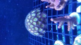 20170627_153405.jpg