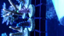 20170627_153218.jpg