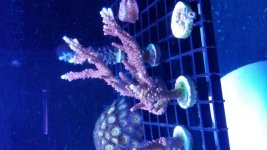 20170627_153116.jpg