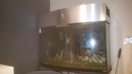 20170411_233157.jpg