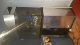 20170411_233224.jpg