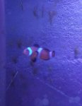 rps20180304_213316_510.jpg