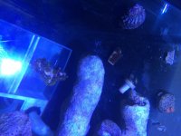 IMG_7421.jpg