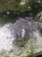 IMG_20170915_165252.jpg