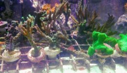 20170915_195922(0)~2.jpg