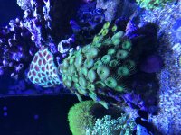 IMG_5476.jpg