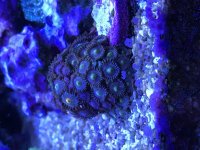 IMG_2320.jpg
