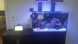 20160726_115008.jpg