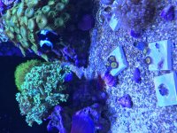 IMG_0665.jpg