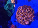 IMG_4035.jpg