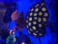 IMG_4036.jpg