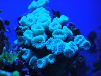 DSC_0823 (2).jpg